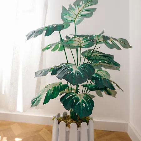 Lucjanos アパート *