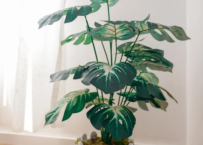 Lucjanos Appartement *